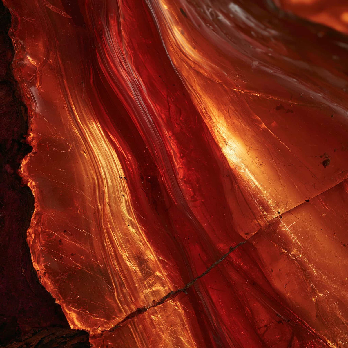 Close-up van amber bij Lavent